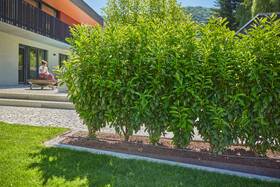 Hadice kapací Gardena MicroDrip System 13 mm, 50 m 

 obrázek produktu 4 z 5