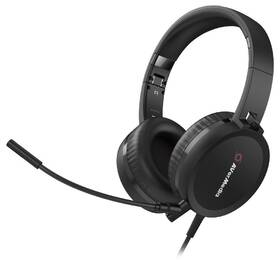 Webkamera AVerMedia BO317 + headset černá

 obrázek produktu 2 z 3