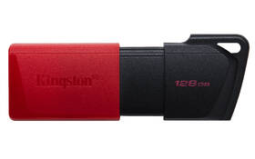USB Flash Kingston DataTraveler Exodia M 128GB červený

 obrázek produktu 2 z 5