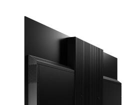 Televize Panasonic TX-65MZ2000E 

 obrázek produktu 10 z 15
