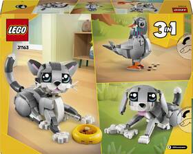 Stavebnice LEGO® Creator 3 v 1 31163 Hravá kočka 

 obrázek produktu 3 z 8