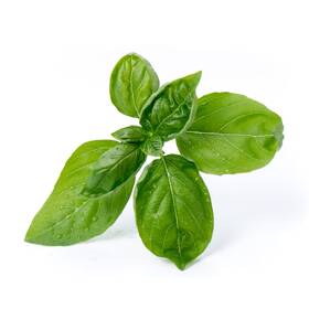Semínka Véritable Lingot Sladká bazalka - BIO 

 obrázek produktu 1 z 2