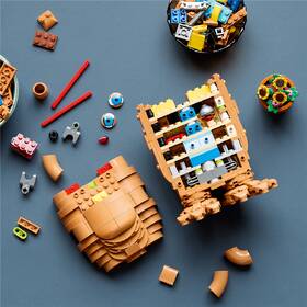 Stavebnice LEGO® Ideas 21370 

 obrázek produktu 6 z 6