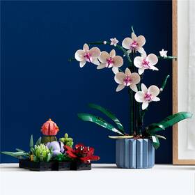 Stavebnice LEGO® Botanicals 10311 Orchidej 

 obrázek produktu 8 z 8