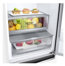 Chladnička s mrazničkou LG GBB71SWDZN bílá

 obrázek produktu 4 z 20