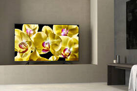 Televize Sony KD-55XG8096 

 obrázek produktu 6 z 8
