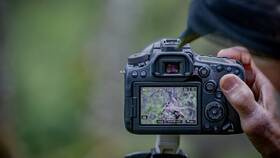Digitální fotoaparát Canon 90D, tělo černý

 obrázek produktu 8 z 8