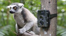 Fotopast Technaxx TX-69 Wild Cam maskáčová

 obrázek produktu 8 z 9