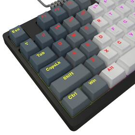 Klávesnice Lorgar Azar 514TKL EN bílá

 obrázek produktu 15 z 19