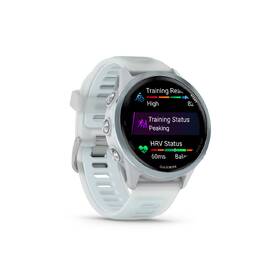Chytré hodinky Garmin Forerunner 570 - 42 mm (EU distribuce) šedé/světle modré

 obrázek produktu 6 z 9