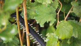 Nůžky na živý plot Bosch UniversalHedgeCut 18-55 (s baterií) 

 obrázek produktu 4 z 6