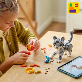 Stavebnice LEGO® Creator 3 v 1 31163 Hravá kočka 

 obrázek produktu 8 z 8