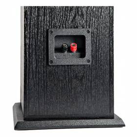 Reproduktory Polk T50 sloupový (2 ks) černý

 obrázek produktu 1 z 3