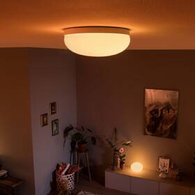 Stropní svítidlo Philips Flourish White and Color Ambiance, kruhové 36cm bílé

 obrázek produktu 3 z 4