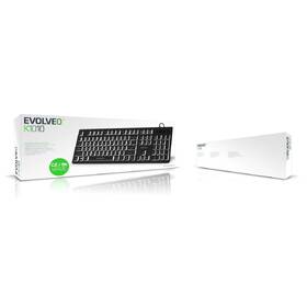 Klávesnice Evolveo K1010, CZ+SK černá

 obrázek produktu 4 z 4