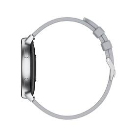 Chytré hodinky LAMAX Aura stříbrné

 obrázek produktu 6 z 10