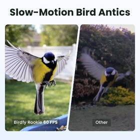Ptačí krmítko Birdfy Rookie Lite, s kamerou (AI předplatné) hnědý

 obrázek produktu 3 z 6