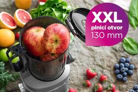 Odšťavňovač Concept JUICY LO7120 šedý

 obrázek produktu 17 z 23