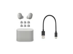 Sluchátka Sony Noise Cancelling WF-1000XM6 - Prodloužená záruka zdarma po registraci stříbrná

 obrázek produktu 4 z 7