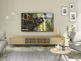 Televize Panasonic TX-65HX810E 

 obrázek produktu 8 z 8