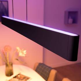 Závěsné svítidlo Philips Ensis White and Color Ambiance černé

 obrázek produktu 3 z 4