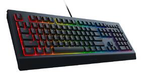 Klávesnice Razer Cynosa V2 černá

 obrázek produktu 2 z 4