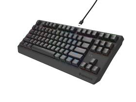 Klávesnice Genesis THOR 230 Lite, US layout černá

 obrázek produktu 5 z 8