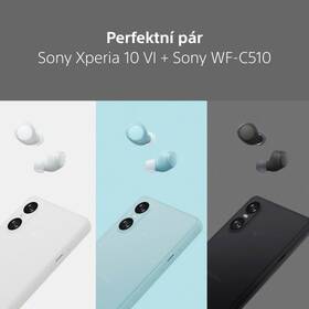Sluchátka Sony WF-C510 žlutá

 obrázek produktu 16 z 16