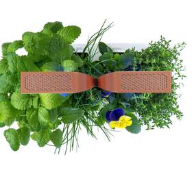 Chytrý květináč Véritable SMART černý/měděný

 obrázek produktu 5 z 9