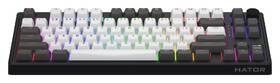 Klávesnice HATOR Skyfall 80 PRO Wireless, US layout černá/bílá

 obrázek produktu 2 z 7