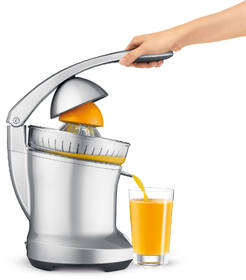 Lis na citrusy SAGE BCP600 stříbrný

 obrázek produktu 1 z 2
