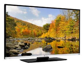 Televize GoGEN TVF 48N384 STWEB 
