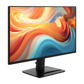 Monitor MSI Pro MP242 E14A černý

 obrázek produktu 4 z 7