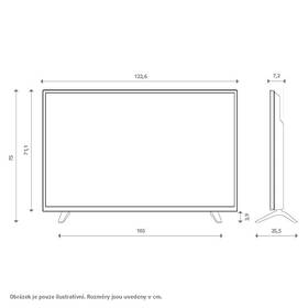 Televize TCL 55P655 
