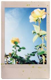 Instantní film Fujifilm Instax Mini Soft Glitter 

 obrázek produktu 2 z 11