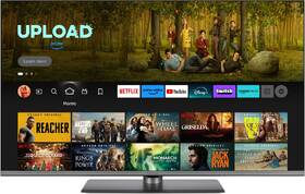 Televize Panasonic TV-43W83AE6 
