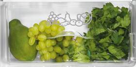 Chladnička Zanussi ZRG10800WA bílá

 obrázek produktu 7 z 7