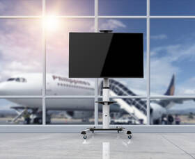 Stojan pro TV STELL SOS 4100, pro úhlopříčky 40" až 100", nosnost 50 kg stříbrný

 obrázek produktu 10 z 12