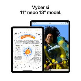 Dotykový tablet Apple iPad Air 13" M2 Wi-Fi + Cellular 1TB - Space Grey 

 obrázek produktu 3 z 8