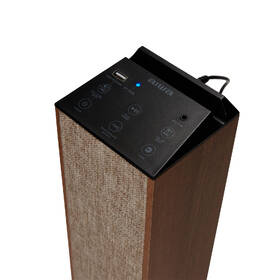 Reproduktor AIWA TSBT-270 hnědý

 obrázek produktu 1 z 10