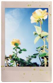Instantní film Fujifilm Instax Mini Soft Glitter 

 obrázek produktu 7 z 11