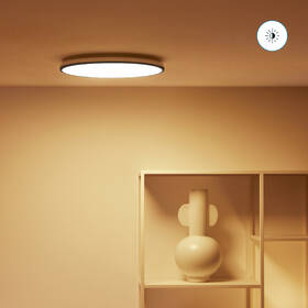 Stropní svítidlo WiZ Rune Ceiling 21 W RGB černé

 obrázek produktu 3 z 10