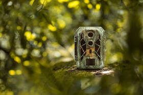 Fotopast Camouflage EZ2 Elite Dual Lens maskáčová

 obrázek produktu 2 z 4