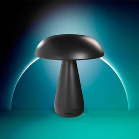 Stolní lampička Philips Mycena DSK215 2W 30-65K B USB černá

 obrázek produktu 1 z 6