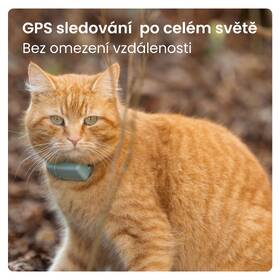 GPS lokátor Tractive CAT Mini mentolový

 obrázek produktu 2 z 11