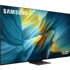 Televize Samsung QE65S95F 

 obrázek produktu 6 z 9