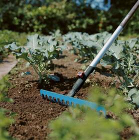 Hrábě Gardena Combisystem, 18,5 cm zelené

 obrázek produktu 1 z 3