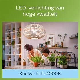Žárovka LED Philips 40W, filament, A60, E27, neutrální bílá 

 obrázek produktu 3 z 3