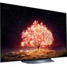 Televize LG OLED65B1 

 obrázek produktu 4 z 10