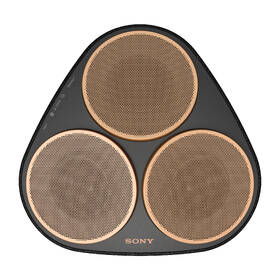 Reproduktor Sony SRS-RA5000 černý

 obrázek produktu 1 z 15